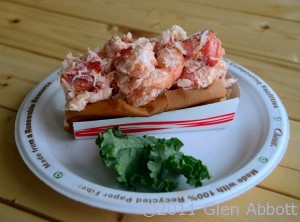 Maine Lobster