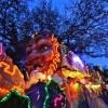 Bacchus Bacchus