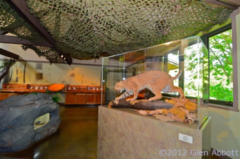 Ijams Nature Center